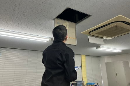現地調査