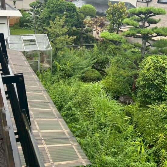 富田林市高辺台│撤去前の庭木・温室