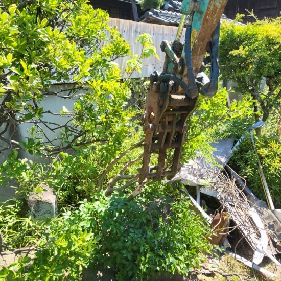 堺市西区浜寺諏訪森町西│庭木撤去の画像