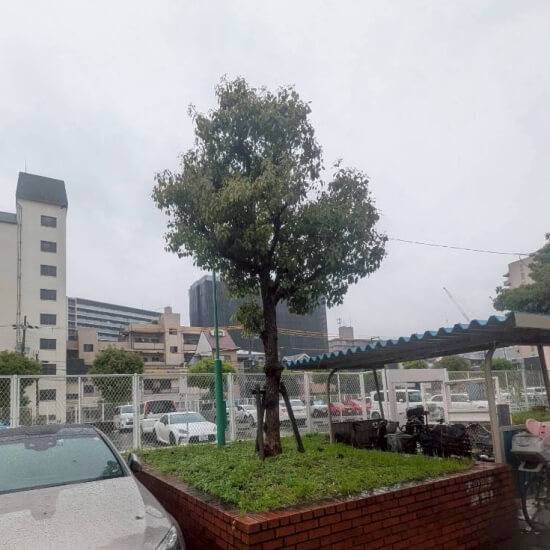 実績画像1枚目