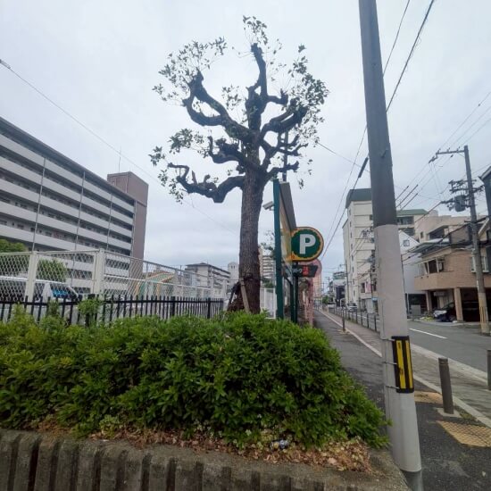 実績画像6枚目